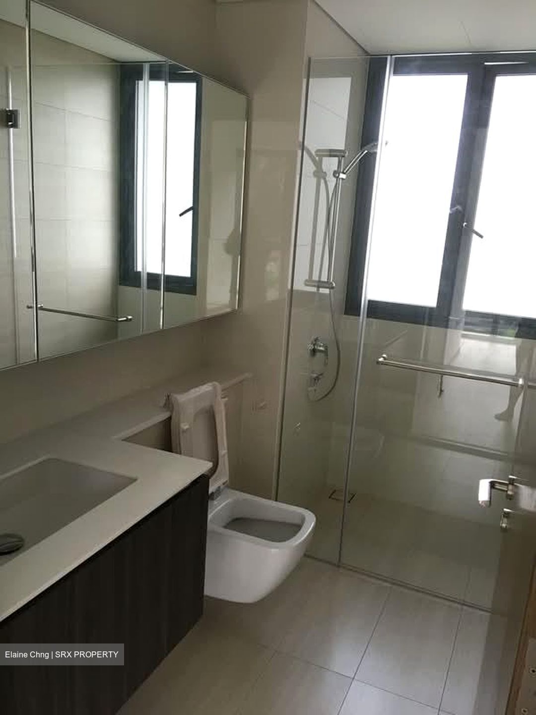 Lakeville (D22), Condominium #569791871
